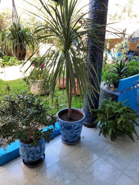 Maison D Hotes Marine Ksar Sghir Exterior photo